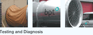 Testing and Diagnosis